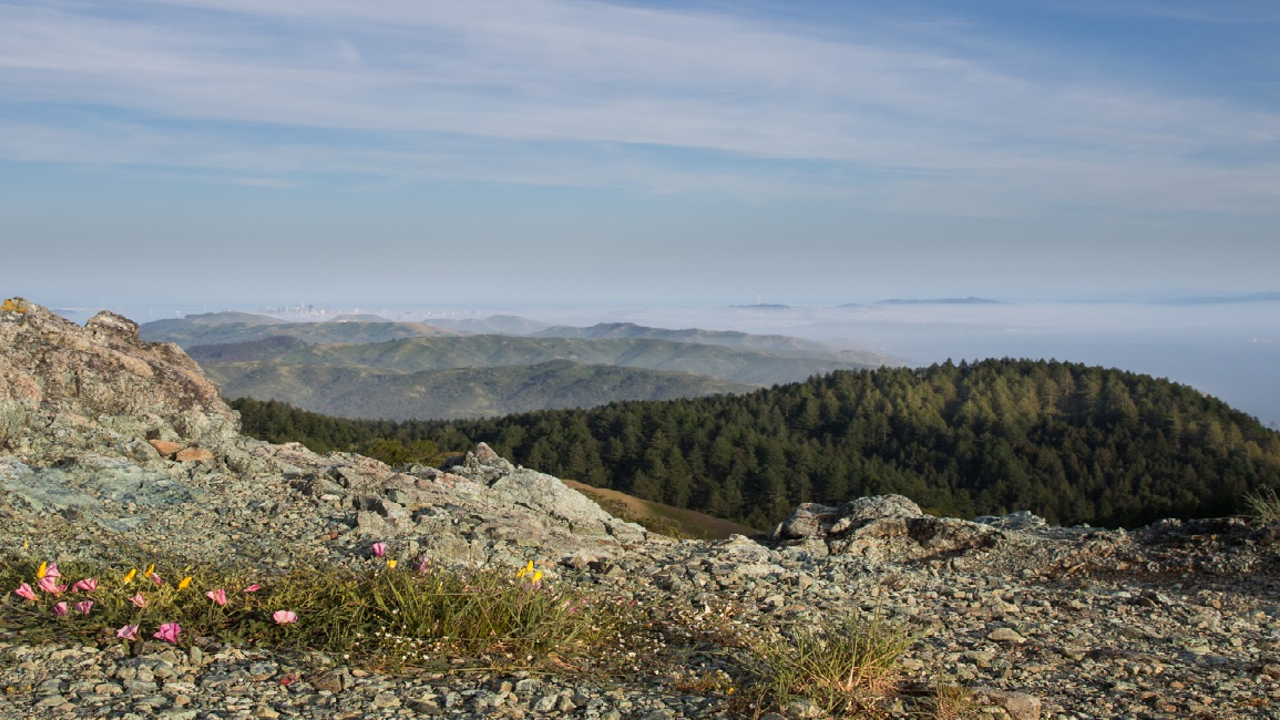 Mt. Tamalpais