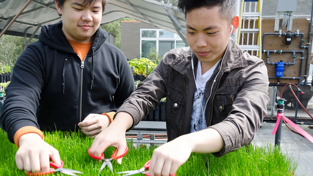 Volunteers Caring for Native Plants
