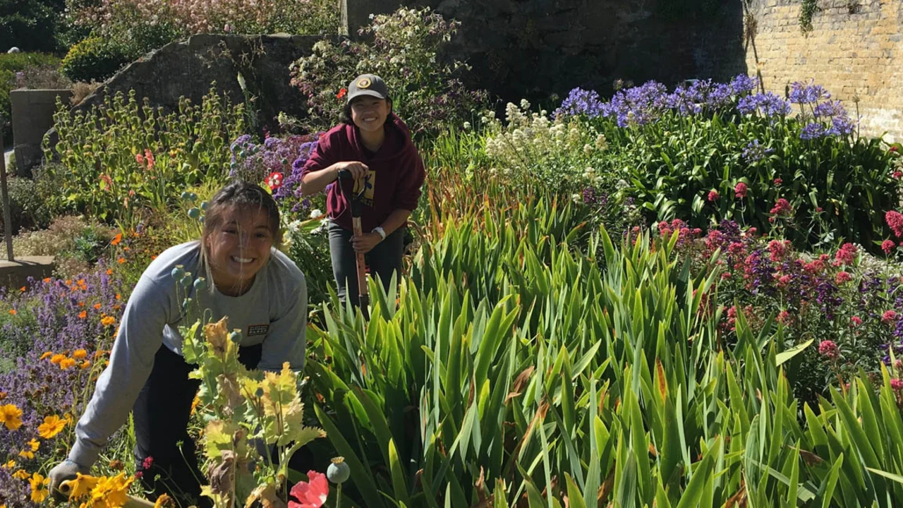 Alcatraz Historic Gardens Volunteers