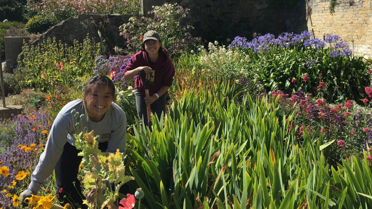 Alcatraz Historic Gardens Volunteers