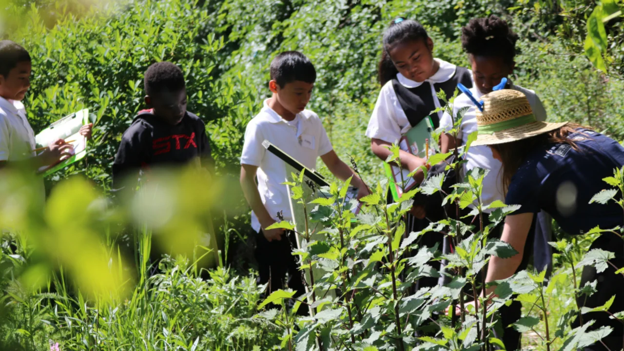 Students examine native plants in the demonstration garden.