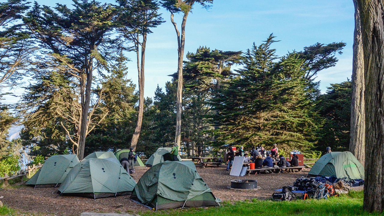 A group of adults sit outside on a sunny day eating lunch at a picnic bench under eucalyptus trees while surrounded by camping tents