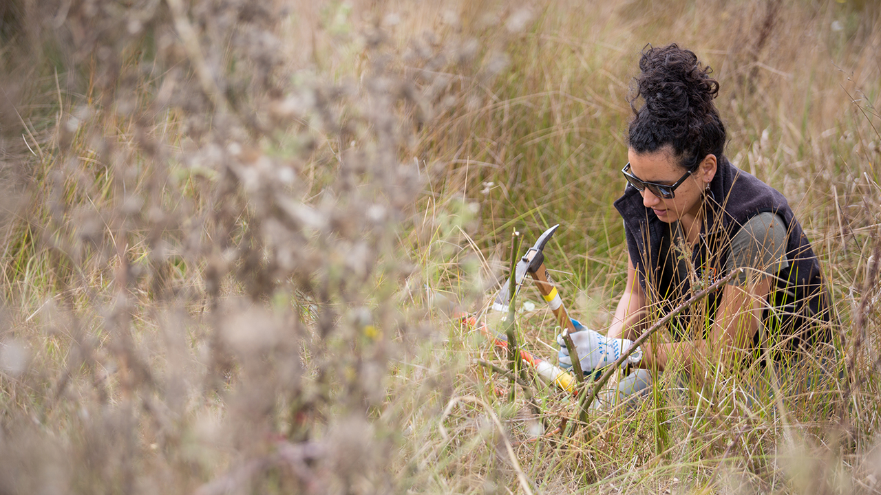Stewardship work at Tennessee Valley.