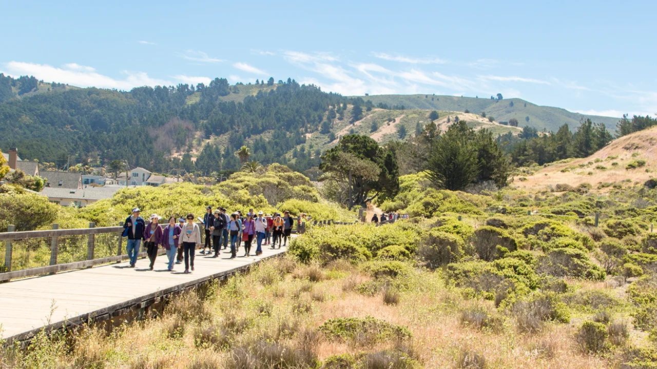 An elevated wooden deck trail was constructed to maintain visitor access while protecting wetlands and providing safe passage for wildlife at Mori Point 