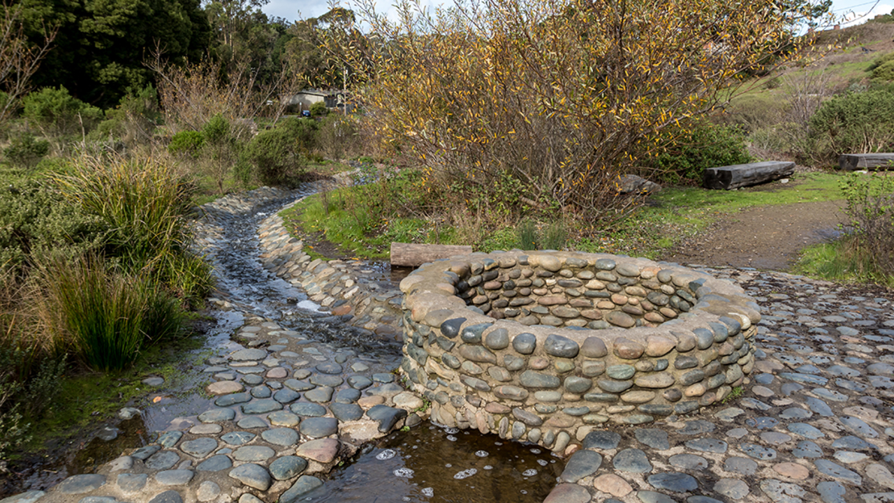 El Polín Spring is an important fresh water source and habitat area in the heart of the Presidio