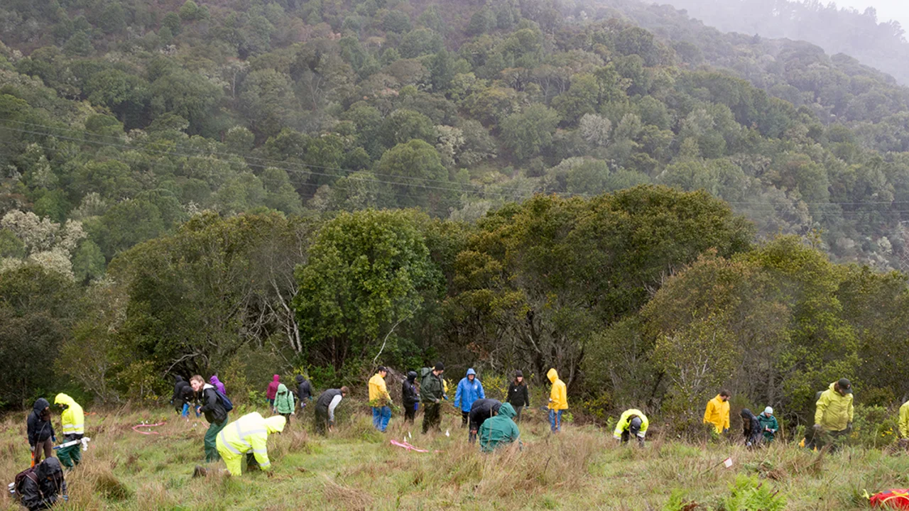 Volunteers at Oakwood Valley