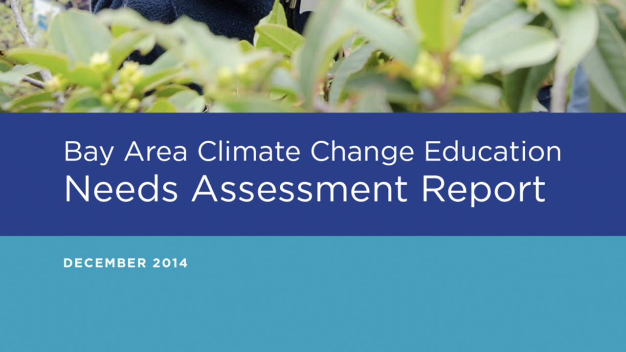 Needs assessment report