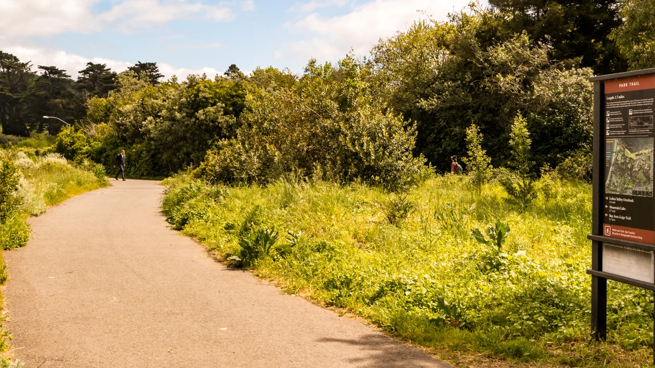 The Presidio Park Trail provides an important link in between the Presidio Promenade and the Bay Area Ridge Trail