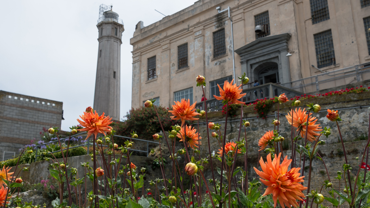Alcatraz Gardens