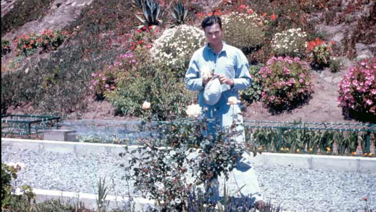 Alcatraz inmate standing in the garden with rose bushes, historic photo