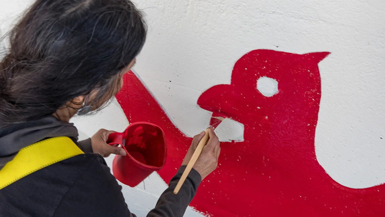 red eagle painted on white