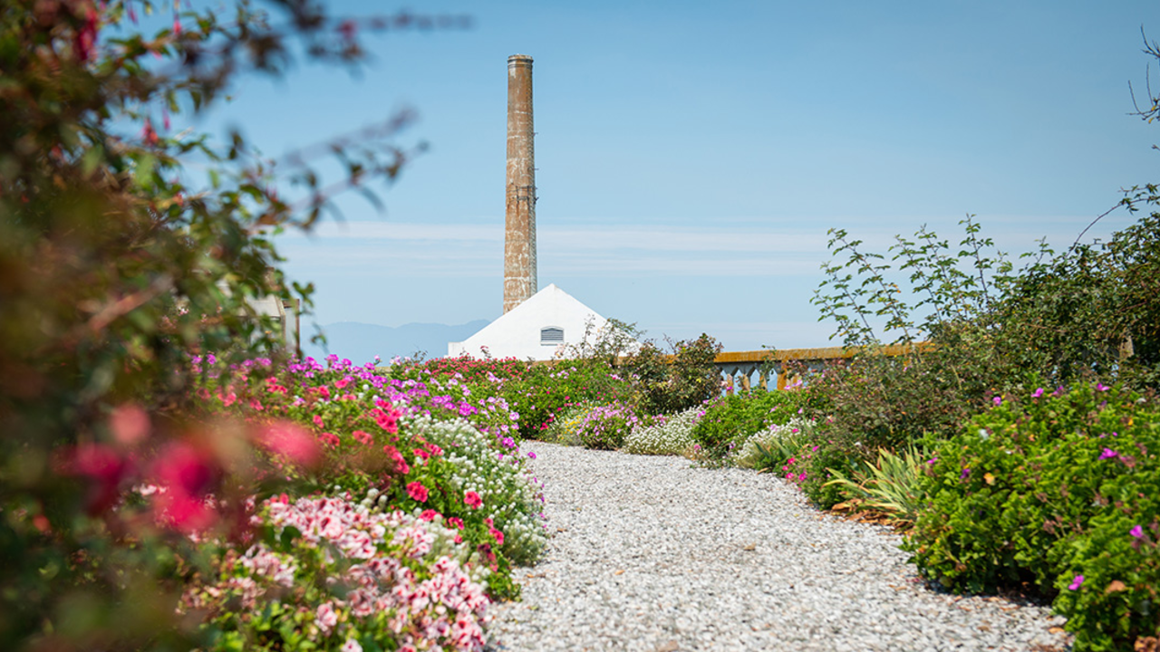 The Alcatraz Historic Gardens with the Power Plant seen in the background.