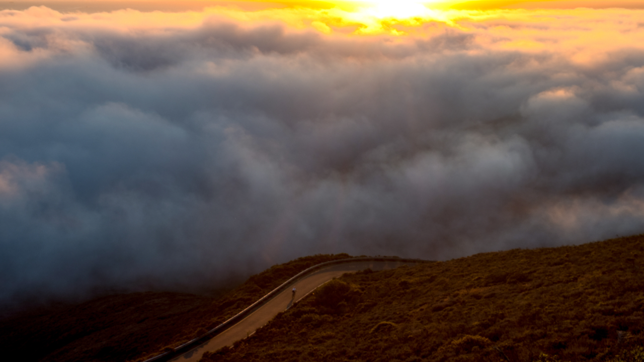 Clouds atop Mt. Tam