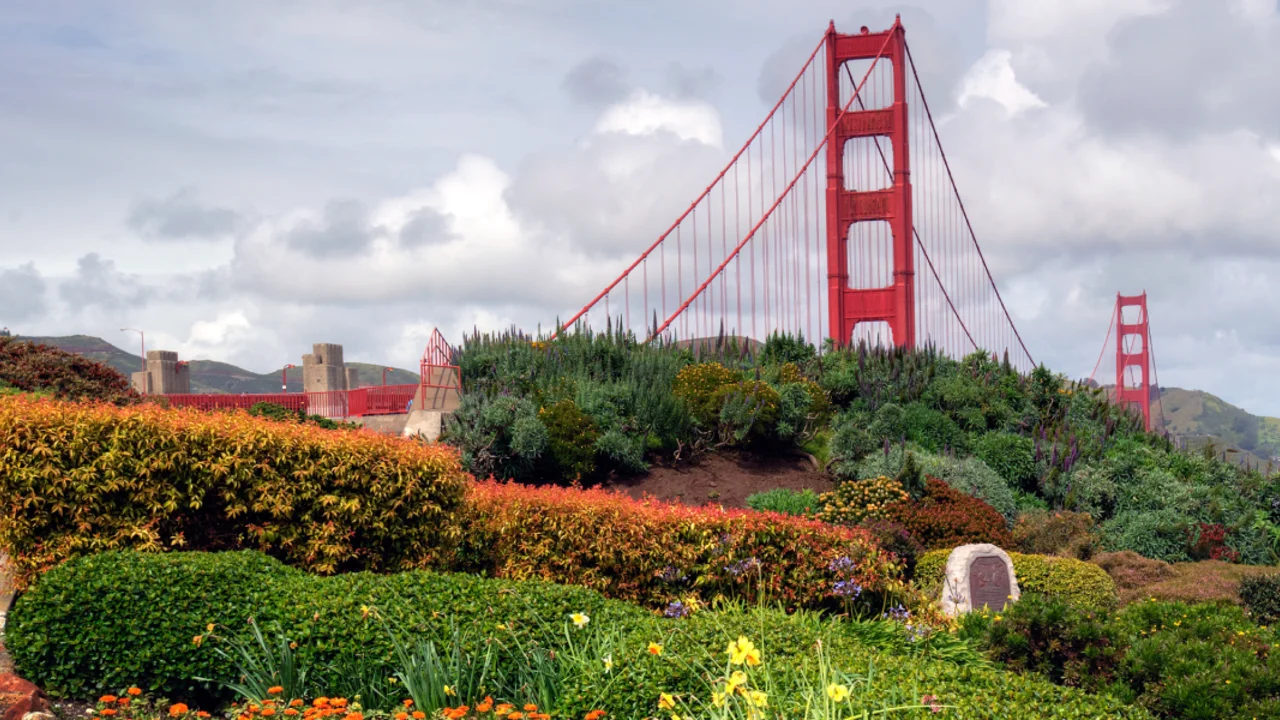 A variety of flora supplies a pleasing view