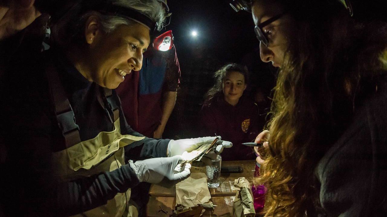 A_MARIN_171005_ATB_232_2x1.jpg bat monitoring in the night