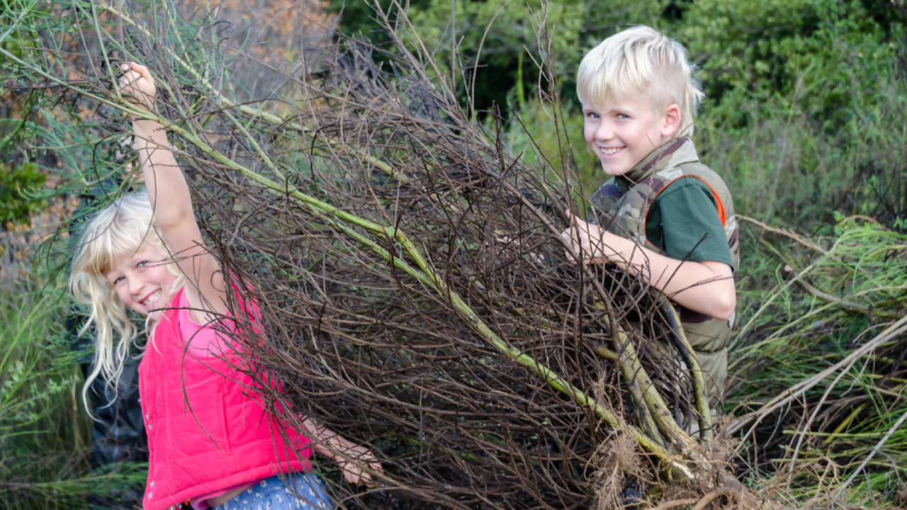Teamwork among young volunteers