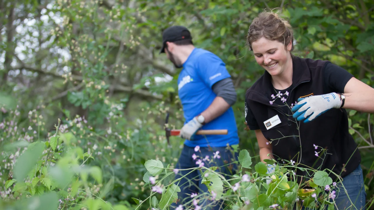 Volunteers among the flowers