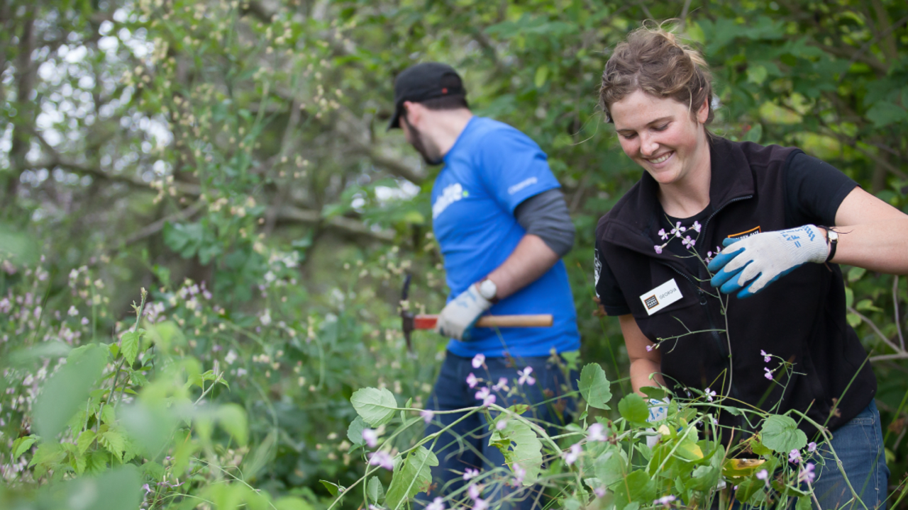 Volunteers among the flowers
