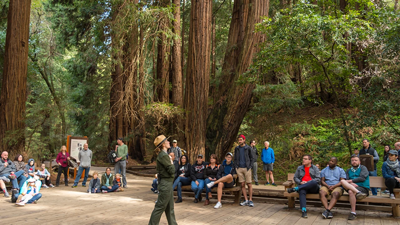 Muir Woods Tours Redwoods