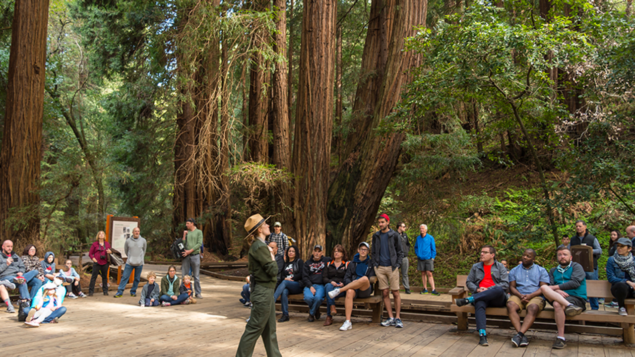 Muir Woods Tours Redwoods