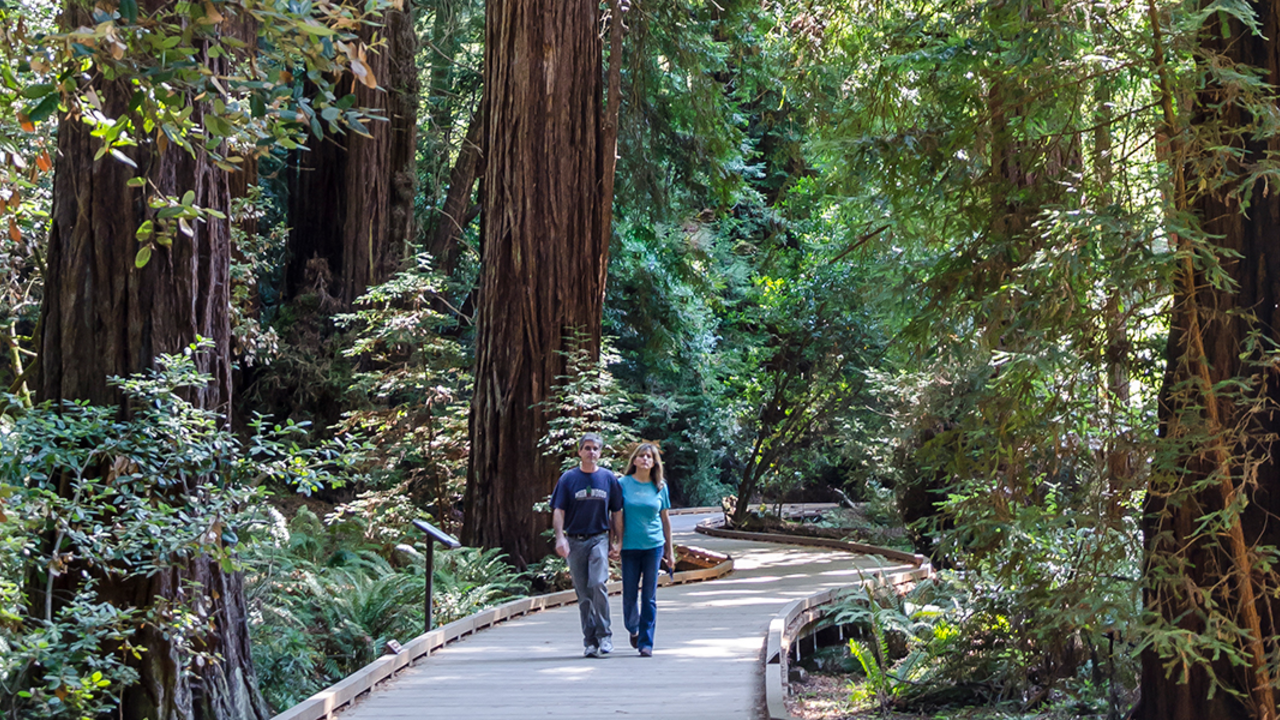 Muir Woods Hikers