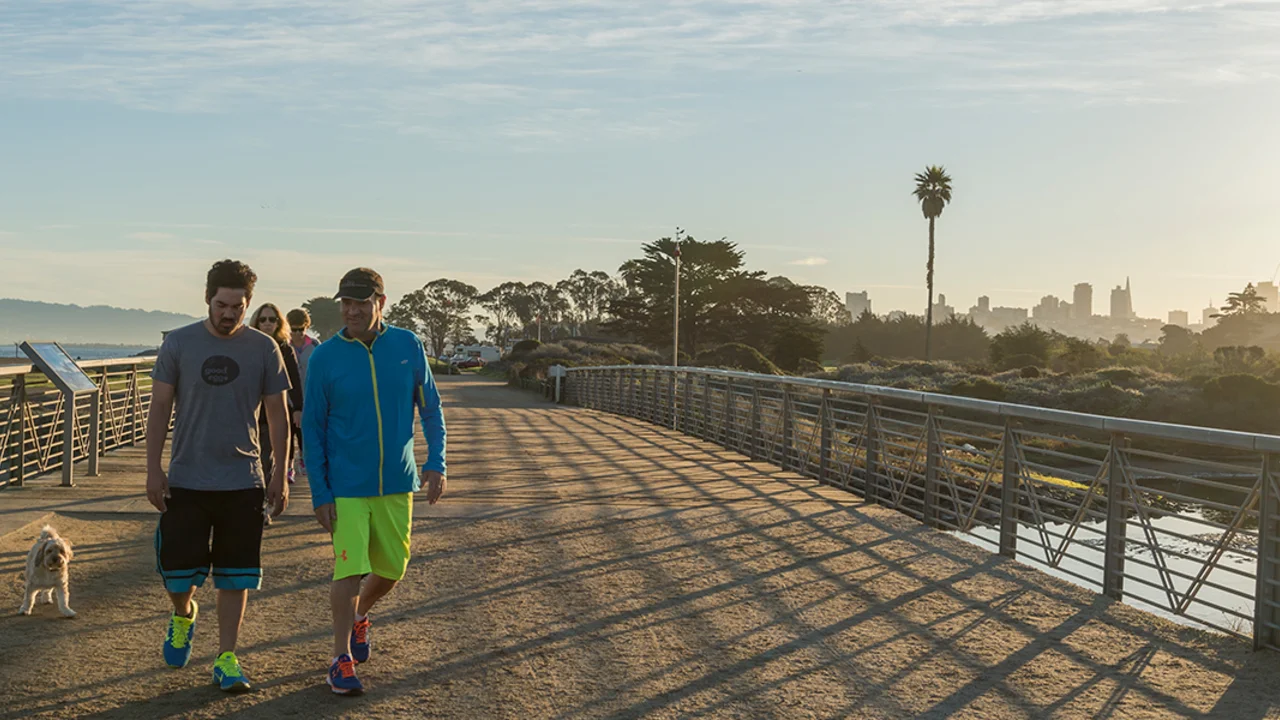 crissy field  