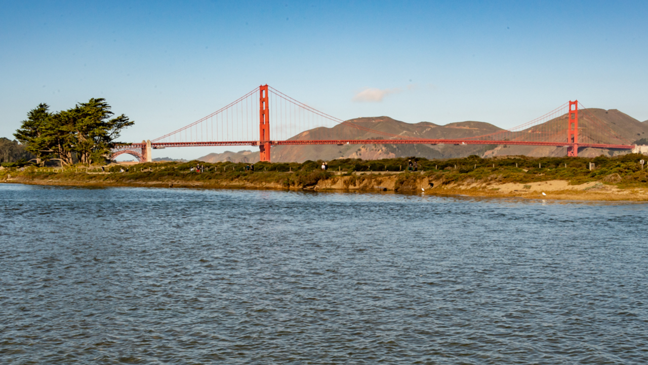 Tidal Marsh at Crissy Field. A view of the Golden Gate Bridge from the Tidal Marsh at Crissy Field.
