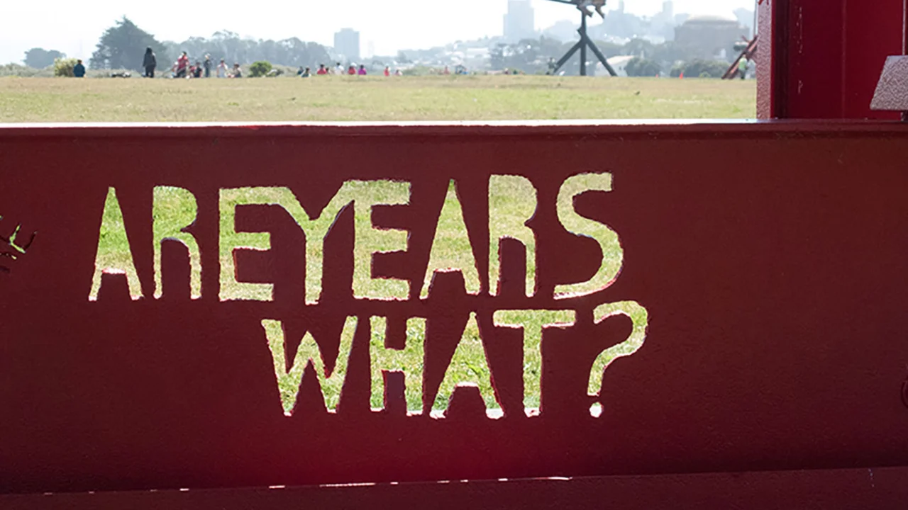 Mark di Suvero, 'Are Years What' close up