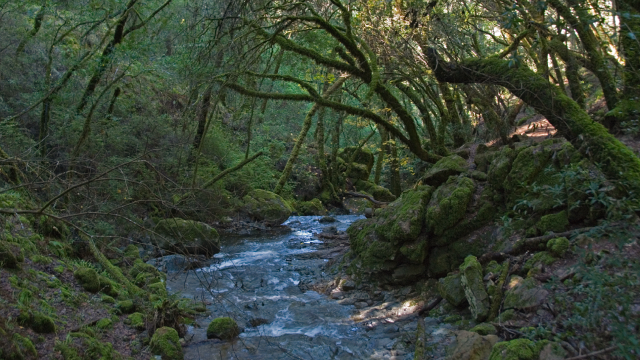 Cataract Creek