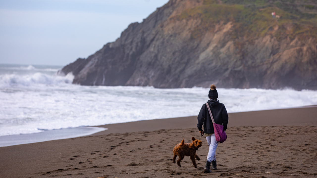 A Dog Walk at Rodeo Beach A park visitor walks their dog before the breaking surf at Rodeo Beach.