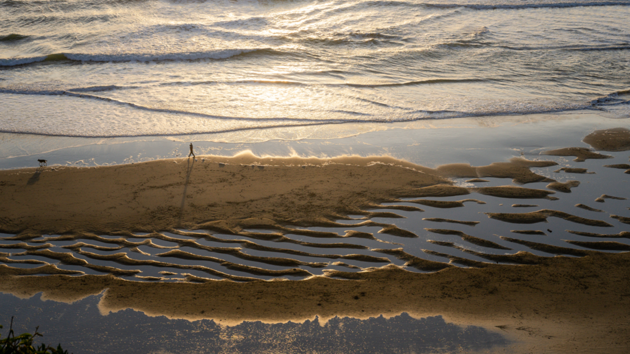 A park visitor and their dog walk the beach at fort funston