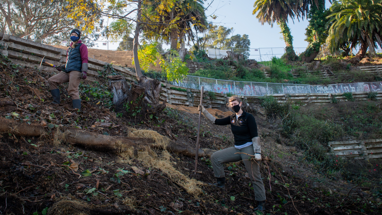 Parks Conservancy staff at work in the Black Point Gardens Parks Conservancy staff working to restore the Black Point Historical Garden at Fort Mason.