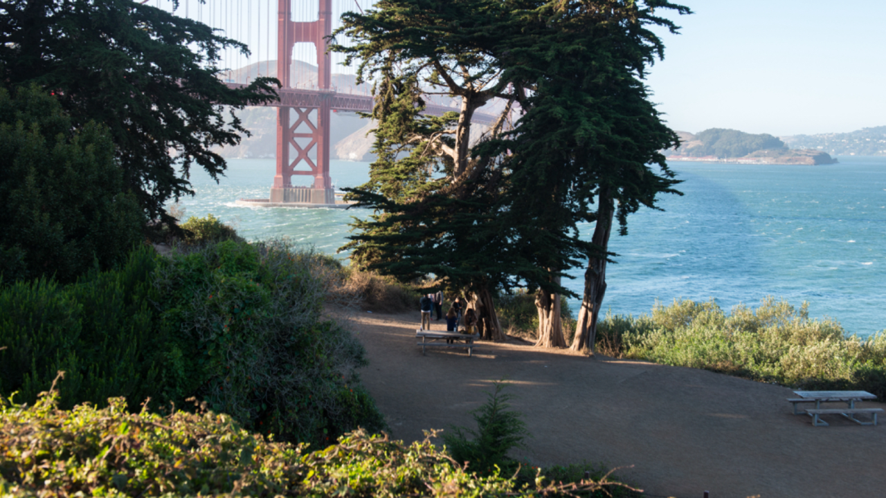 Golden Gate Bridge through the trees