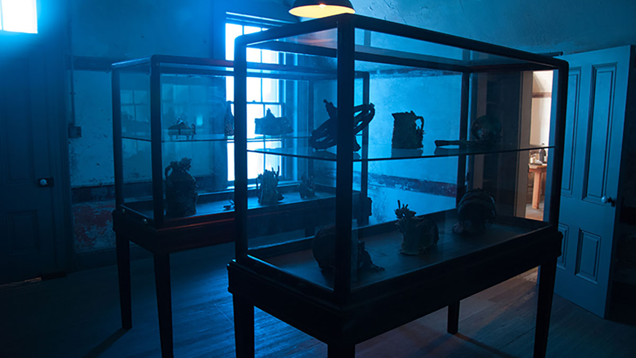 Mark Dion and Dana Sherwood, 'Encrustations'