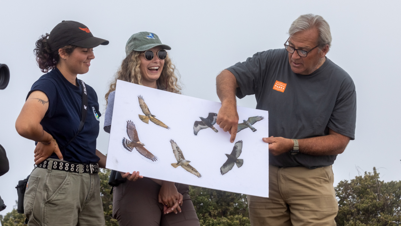 Golden Gate Raptor Observatory staff identify raptor species with volunteers. Parks Conservancy Golden Gate Raptor Observatory staff holding a sign and identifying raptor species.