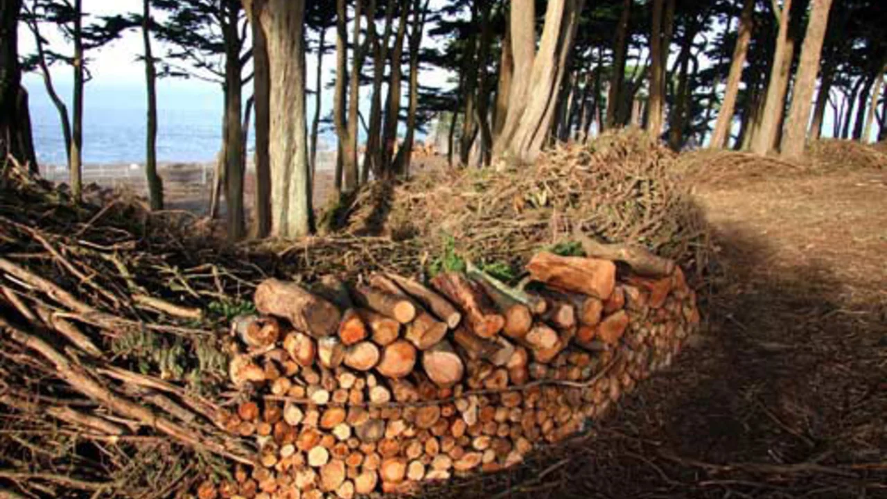 Brush Pile Sculpture