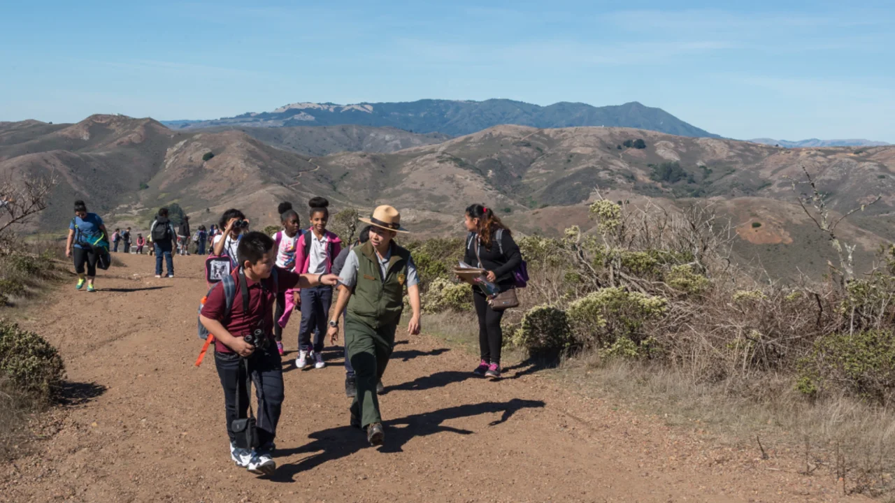 A group stroll while spotting hawks