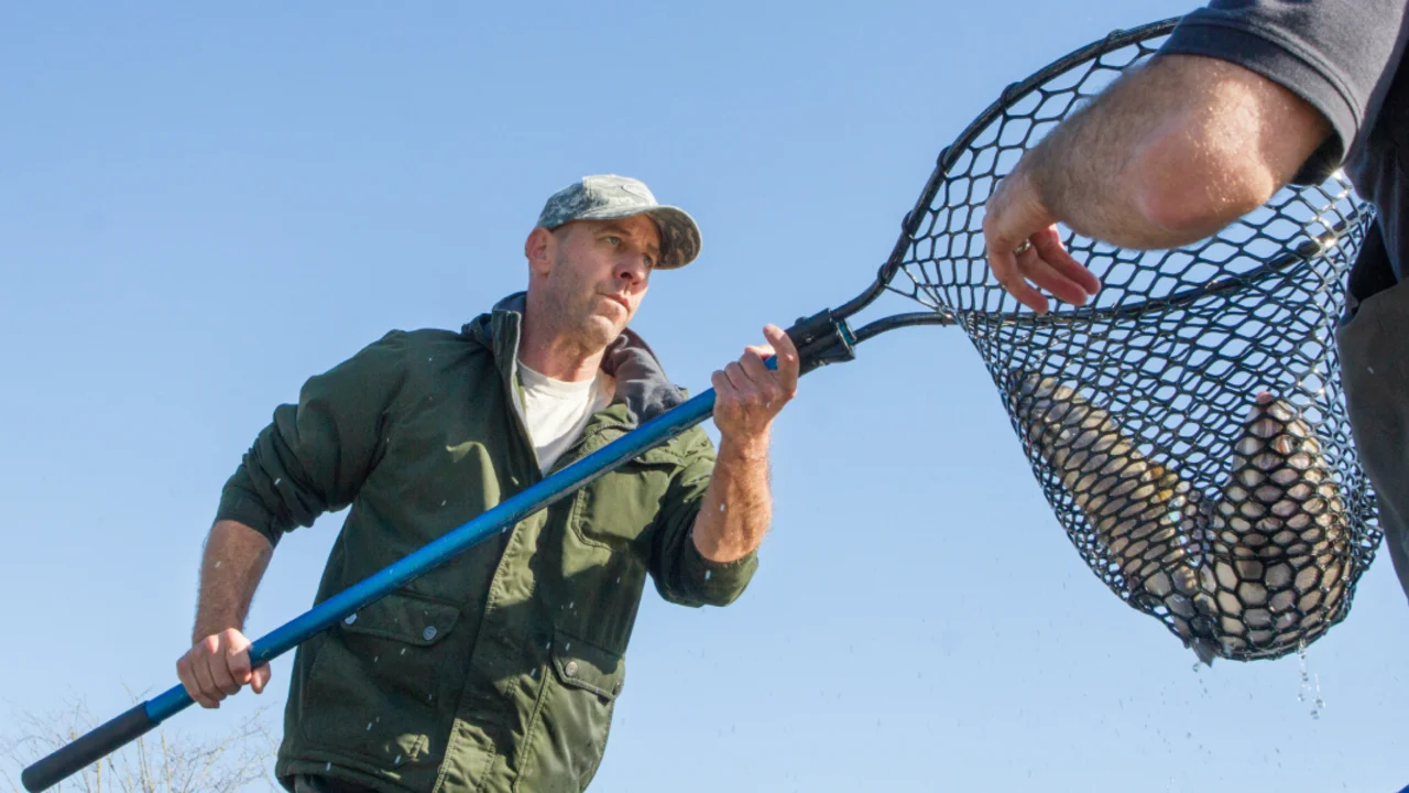 Coho salmon re-released in Muir Beach