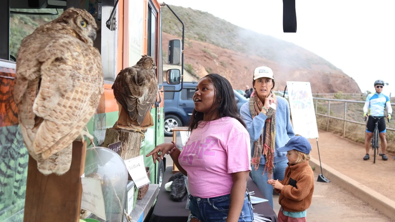 Learning about raptors at Hawk Hill with the Roving Ranger.