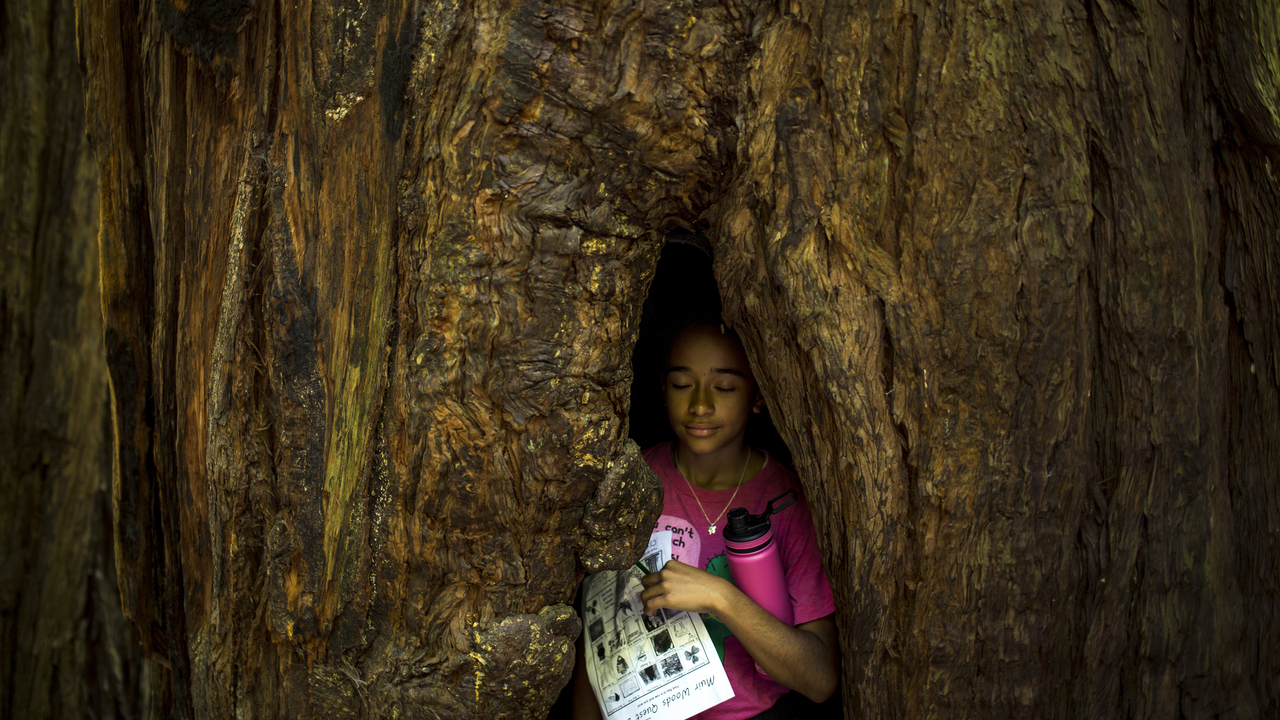 Tree Hug On a hike with Latino Outdoors in July