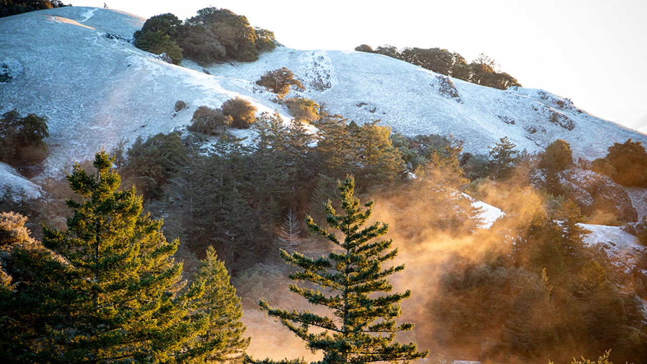 Snow and mist on Mount Tam Snow and mist on Mount Tam