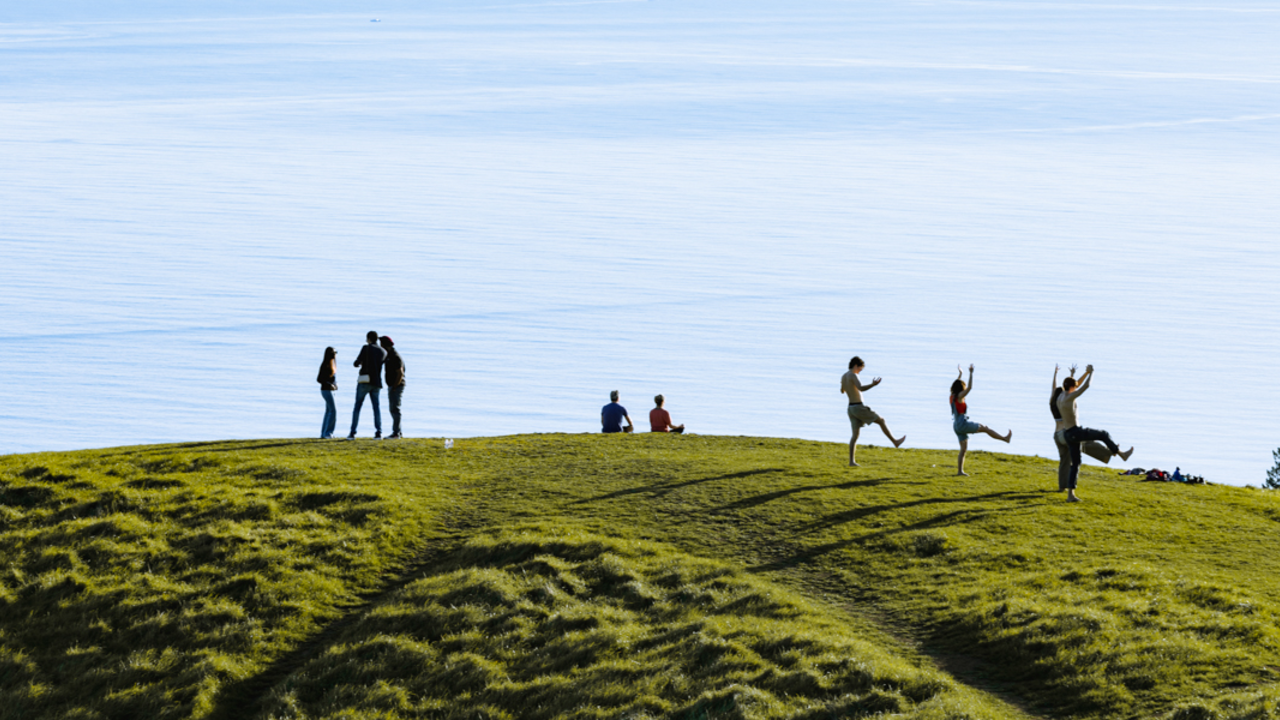 Happy and healthy activities at Mount Tam Park goers on a grassy hill of Mount Tam, meditating, doing yoga, and looking out at the bright view.