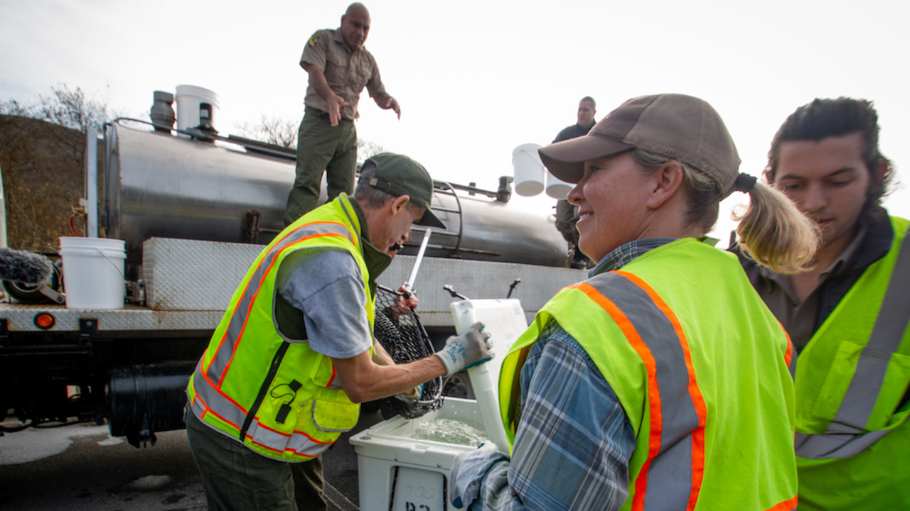 MUBE_20181218_RCW_13_2x1.jpg Research looks left as other scientist writes notes after receiving coho salmon.