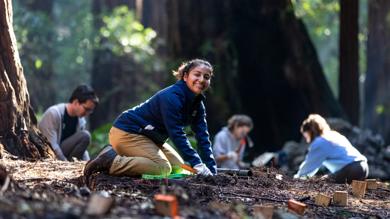 Staff and volunteers doing stewardship work in Muir Woods.