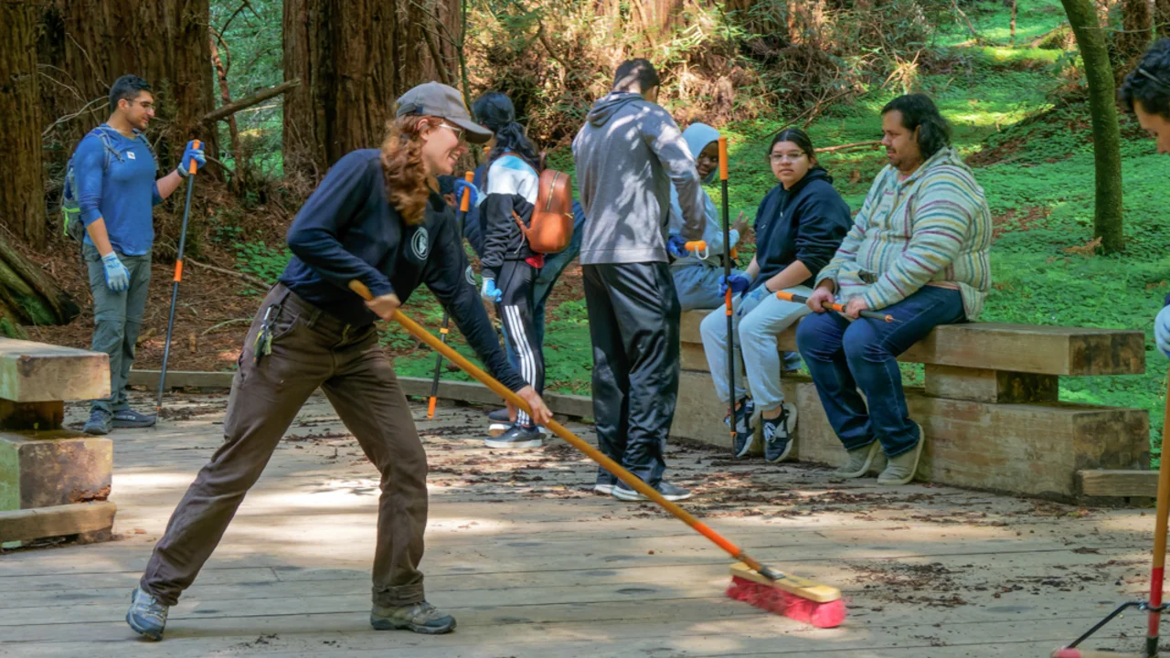 Volunteers at work cleaning the boardwalk at Muir Woods