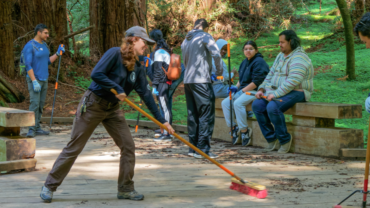 Volunteers at work cleaning the boardwalk at Muir Woods