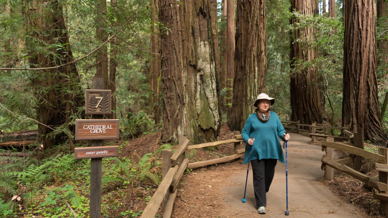 Muir Woods hiker