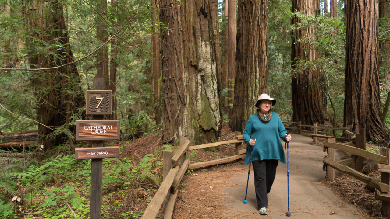 Muir Woods hiker Muir Woods hiker