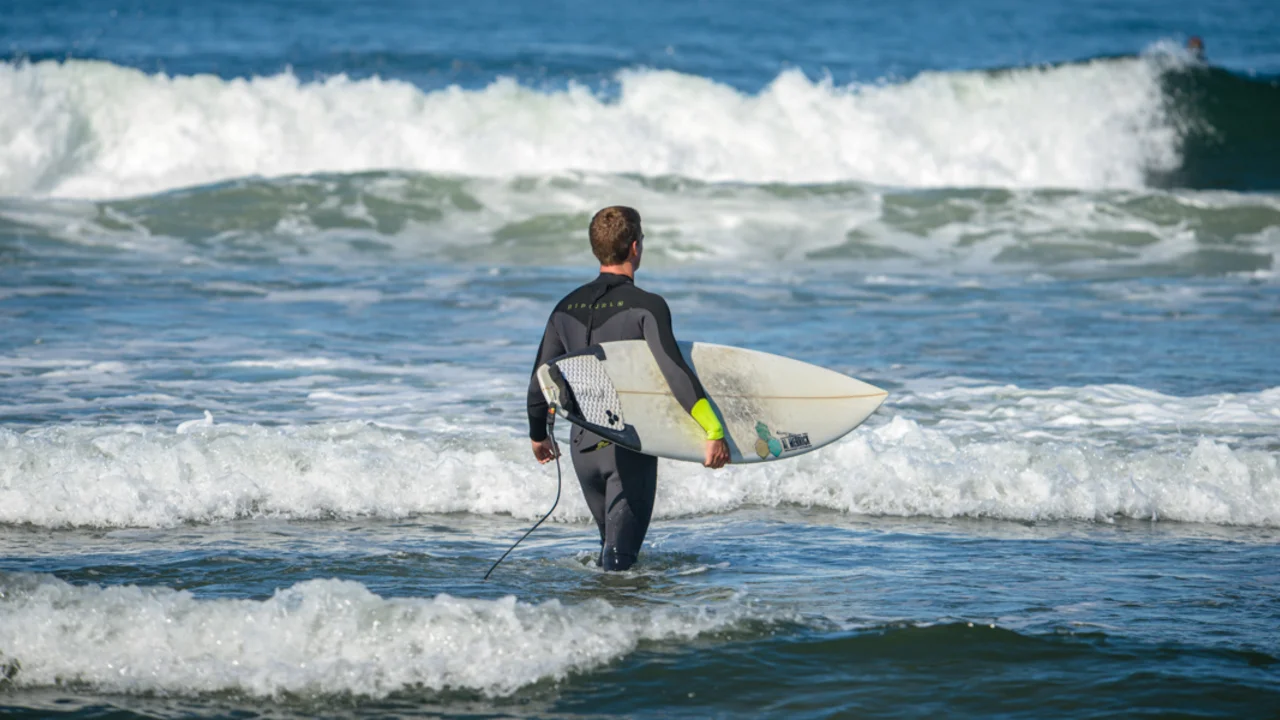 A surfer surveys the blue water and waves at Ocean Beach