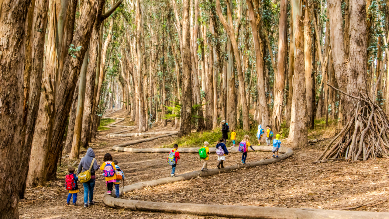PRSF_151023_KW-1114_2x1.jpg A group of children walk on a winding path of logs, an art installation by Andy Goldsworthy titled Woodline.
